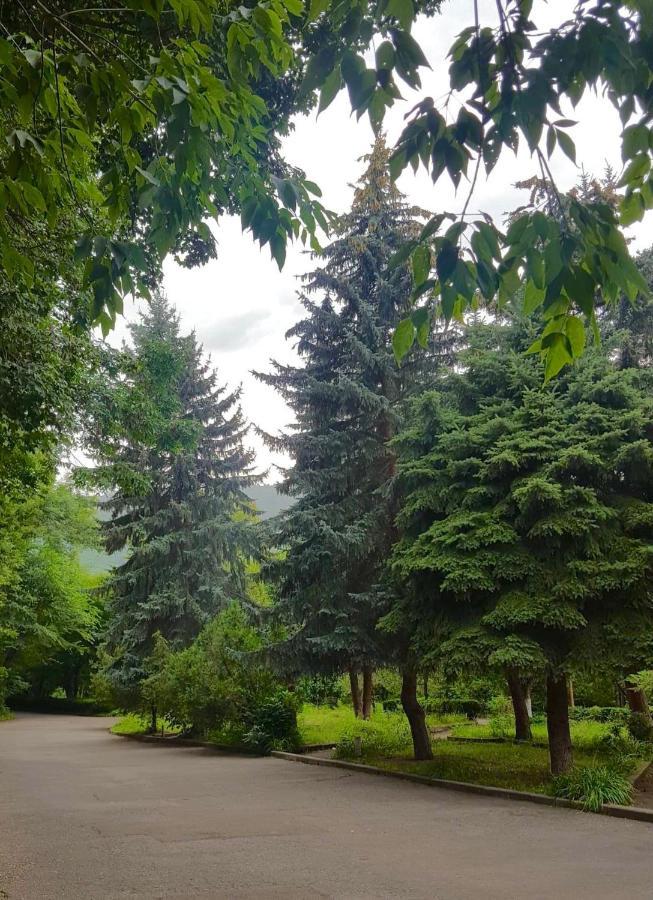 Vanadzor Armenia Health Resort & Hotel Εξωτερικό φωτογραφία