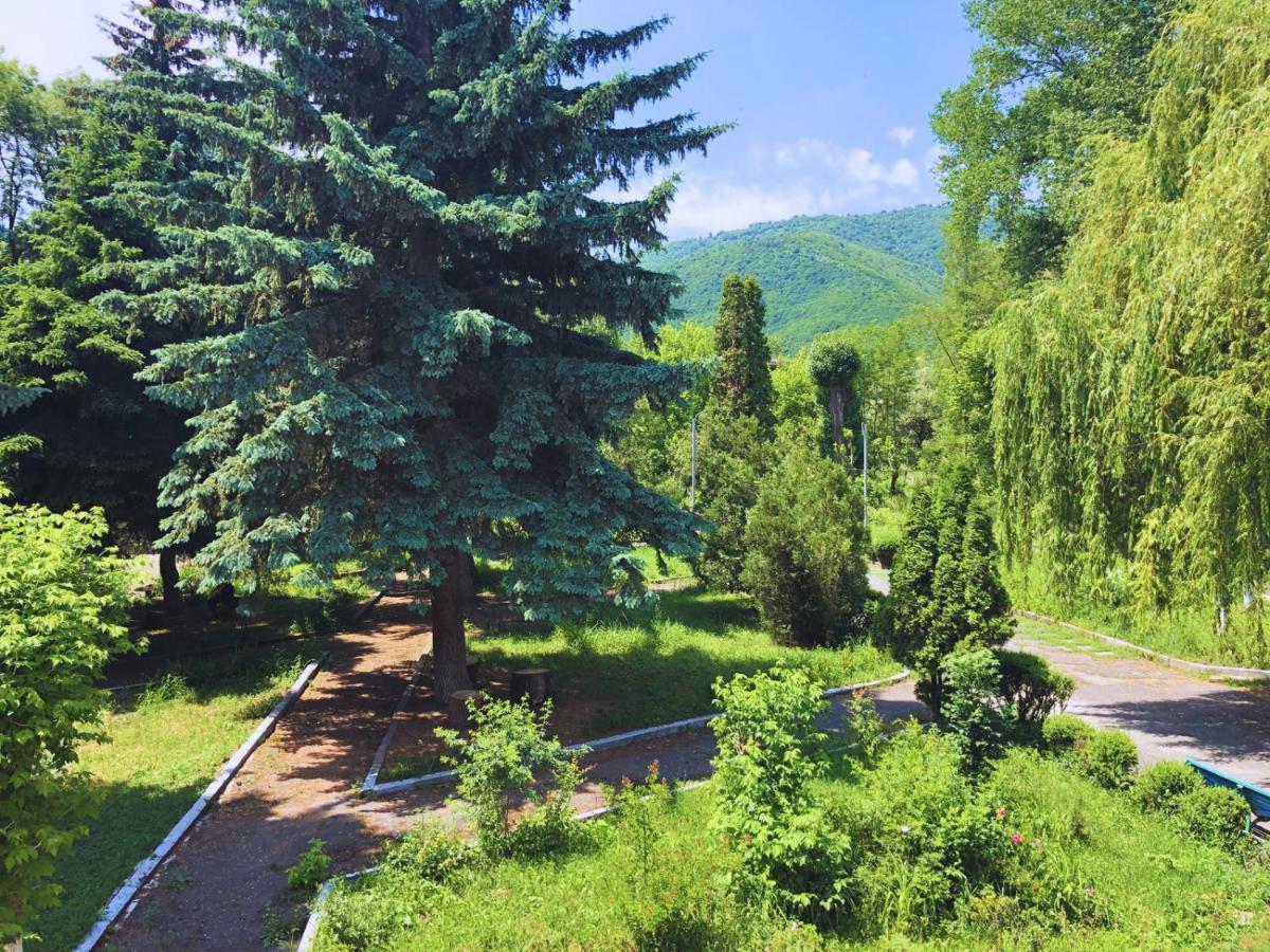 Vanadzor Armenia Health Resort & Hotel Εξωτερικό φωτογραφία